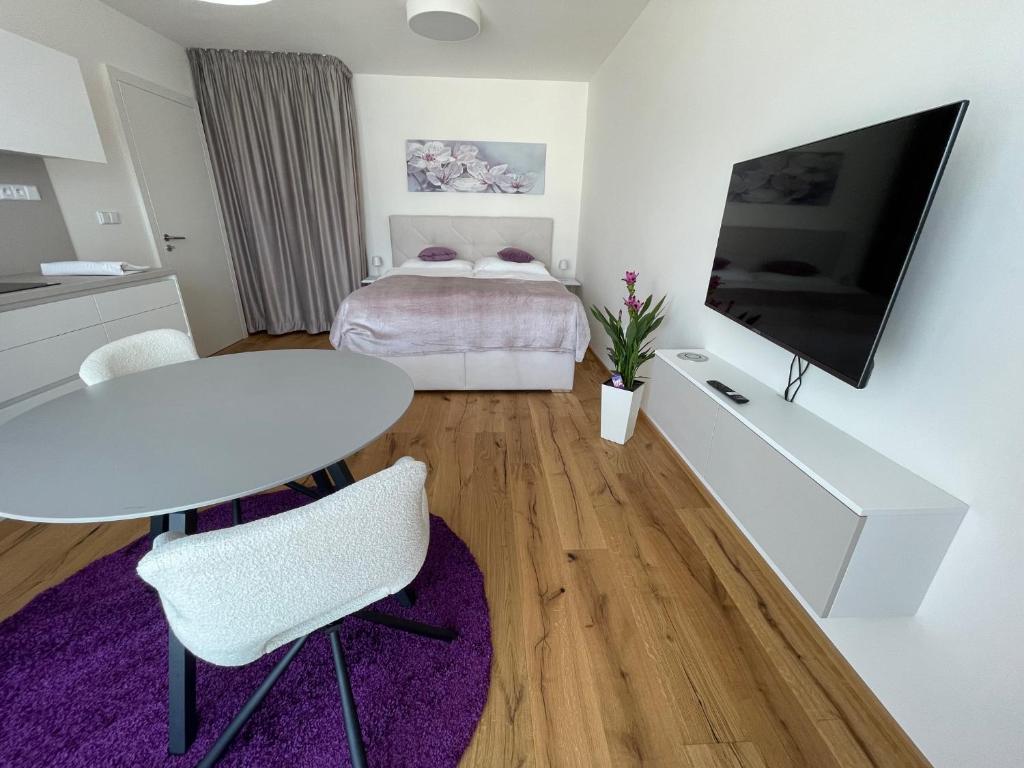 TV a/nebo společenská místnost v ubytování H52 Apartments