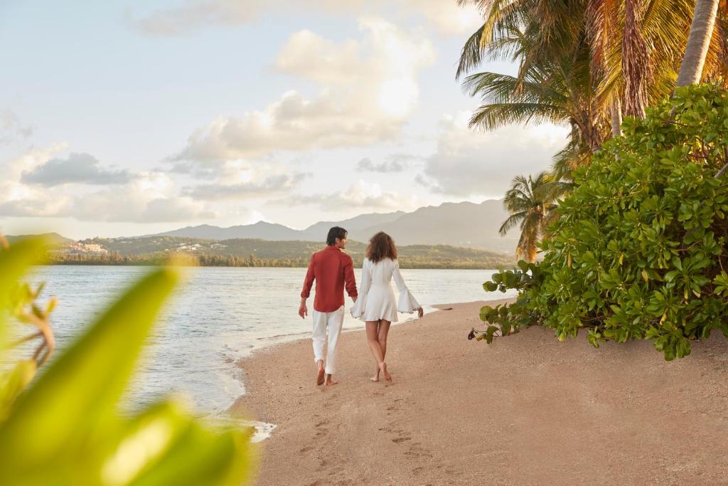 Discover the best all-inclusive resorts in Puerto Rico, from luxury beachfront stays to rainforest escapes. Perfect for couples, families, and girls trips—plus curated packages, top locations, and must-know travel tips. Adult Only Resorts Puerto Rico, Puerto Rico Vacation Resorts, Best Beach Resorts In Puerto Rico, Best Resorts In Puerto Rico, Best Resorts In San Juan Puerto Rico, Puerto Rico Vacation Beach Resorts All Inclusive, Puerto Rico All Inclusive Resorts Adults, Top Resorts In Puerto Rico, Best Puerto Rico Resorts, Best All Inclusive Resorts For Families In Puerto Rico, Resorts Puerto Rico Discover the best all-inclusive resorts in Puerto Rico, from luxury beachfront stays to rainforest escapes. Perfect for couples, families, and girls trips—plus curated packages, top locations, and must-know travel tips. Adult Only Resorts Puerto Rico, Puerto Rico Vacation Resorts, Best Beach Resorts In Puerto Rico, Best Resorts In Puerto Rico, Best Resorts In San Juan Puerto Rico, Puerto Rico Vacation Beach Resorts All Inclusive, Puerto Rico All Inclusive Resorts Adults, Top Resorts In Puerto Rico, Best Puerto Rico Resorts, Best All Inclusive Resorts For Families In Puerto Rico, Resorts Puerto Rico