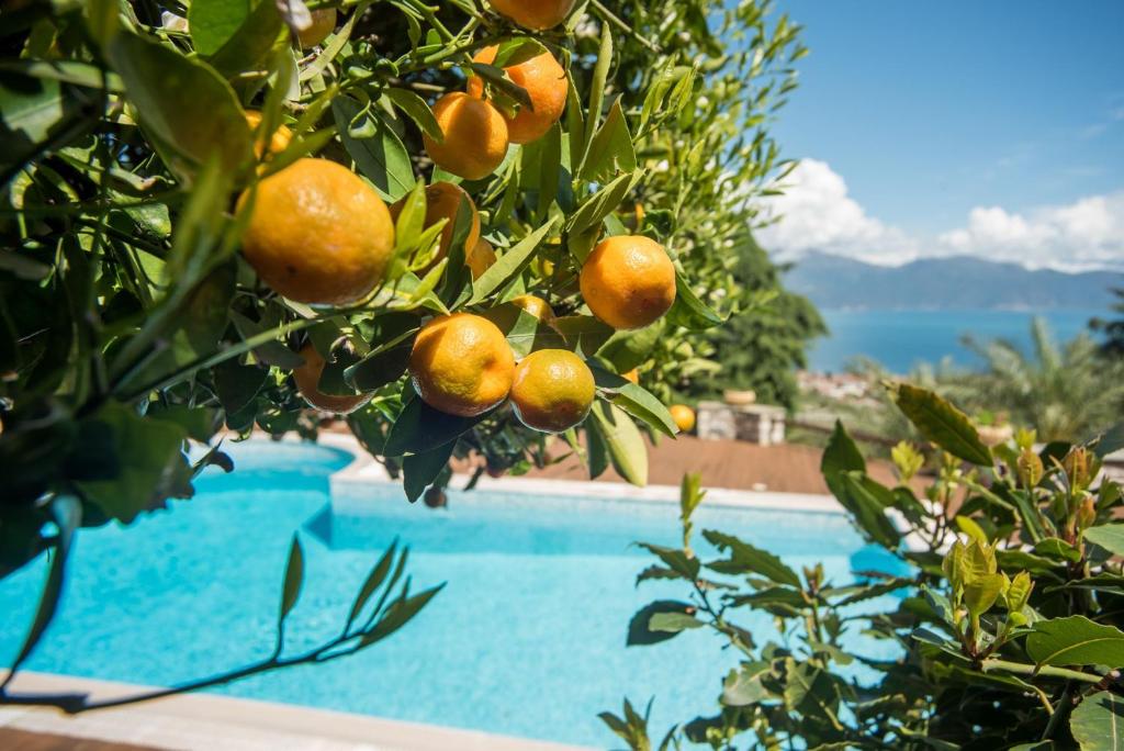 un naranjo junto a una piscina en Primavera Villa Sea view, en Selianitika
