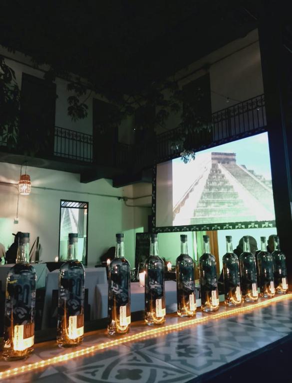 una fila di bottiglie di alcol su una barra di Choco Hostel a Puebla