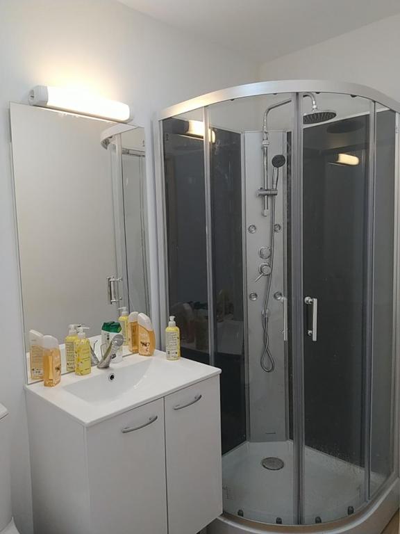 La salle de bains est pourvue d'une douche et d'un lavabo blanc. dans l'établissement Locatif gare Lille Europe Souvenir, à Lille