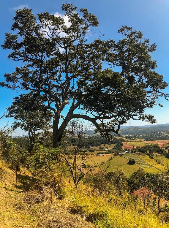 Paisagem natural perto da casa de temporada