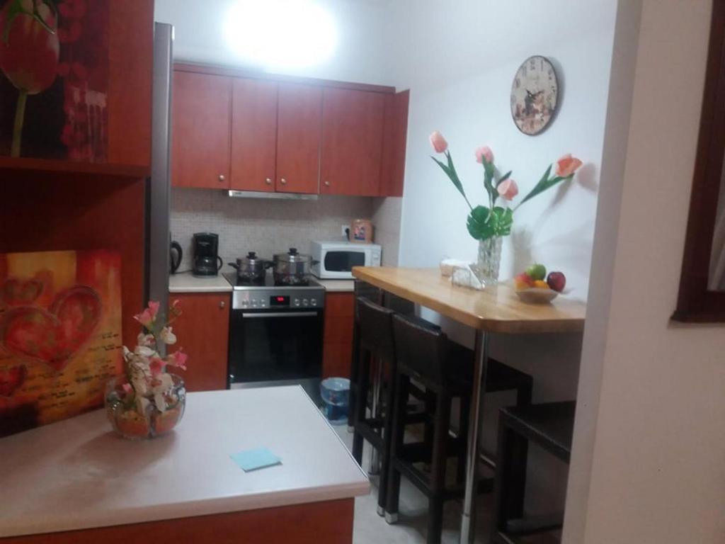 Kuchyňa alebo kuchynka v ubytovaní Kostaspant apartment