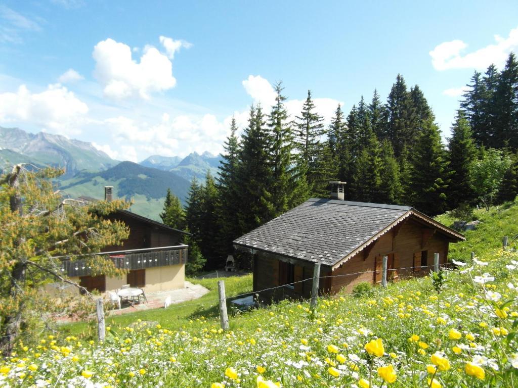 uma casa numa colina com um campo de flores em La Montagnette em Château-d'Oex