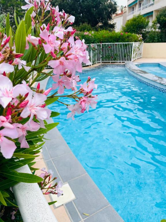 - une piscine avec des fleurs roses en face dans l'établissement Appartement Cannes avec piscine, à Cannes