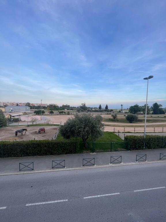 une rue avec des chevaux dans un champ et un lampadaire dans l'établissement Beau STUDIO HIPPODROME MER PLAGE, à Cagnes-sur-Mer