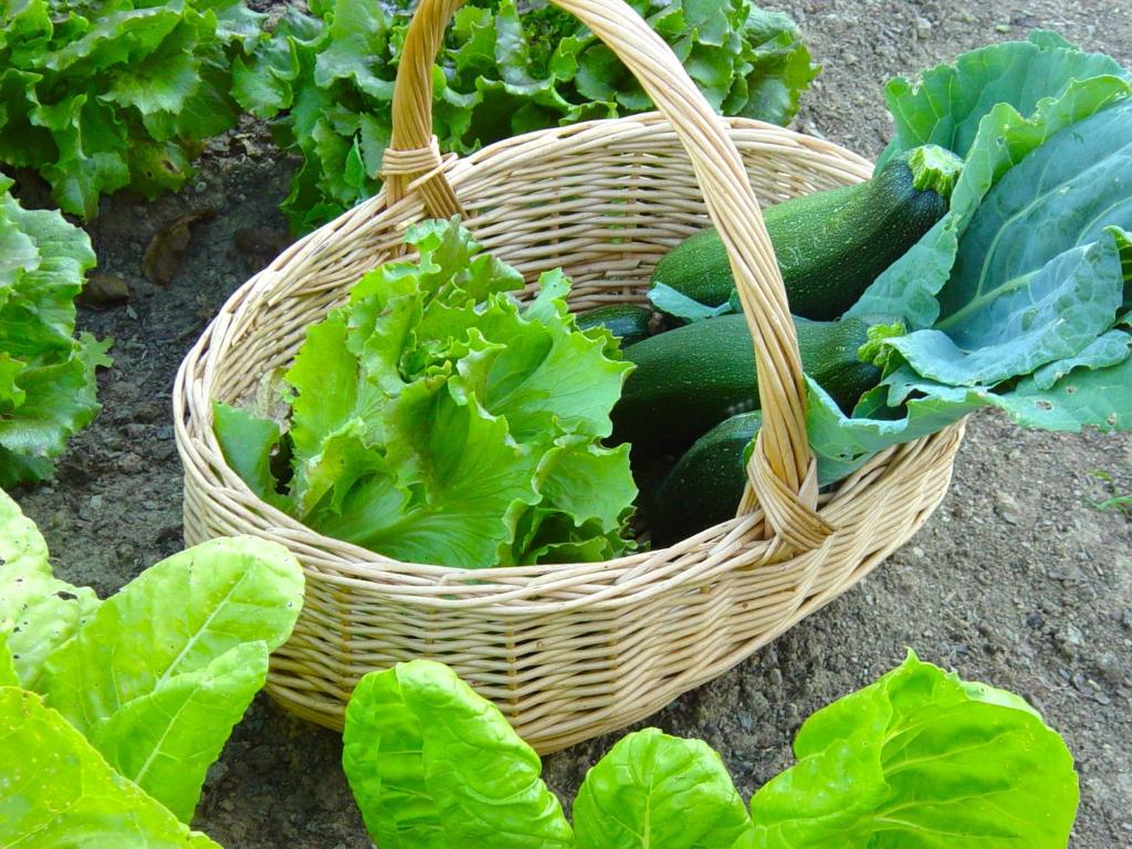 Vonkajšia záhrada v ubytovaní Cal Pesolet Eco Turisme Rural