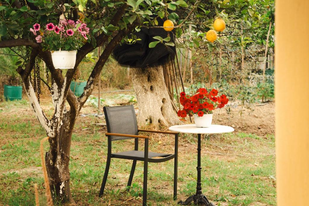 A garden outside MEL
