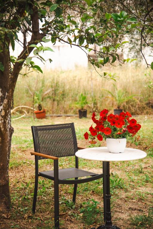 A garden outside MEL