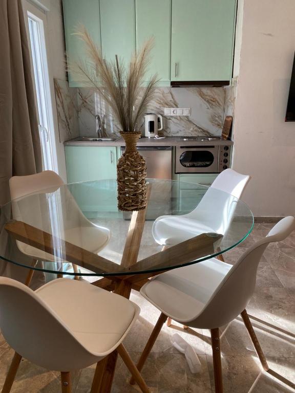 Kuchyň nebo kuchyňský kout v ubytování Pantanassa House