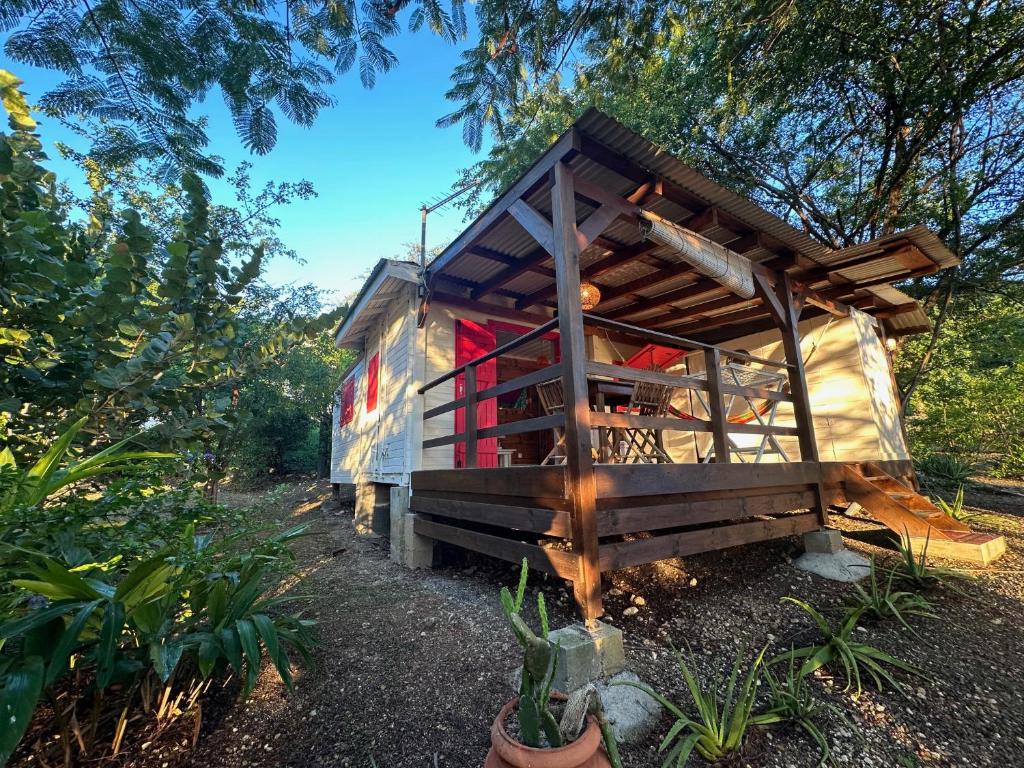 a tiny house sitting in the middle of a forest at Rêve de Cabane in Capesterre-de-Marie-Galante