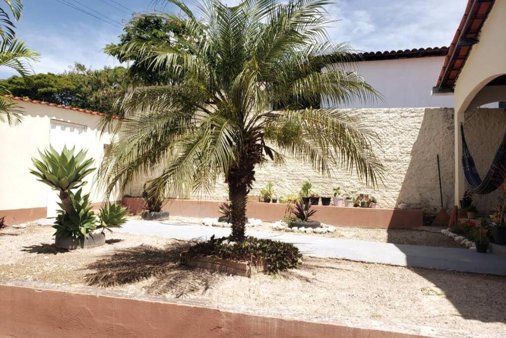 Zahrada ubytování CASA DA PRAÇA Ibicoara - a melhor hospedagem