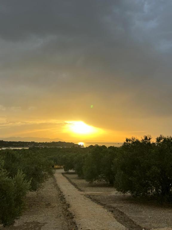 a dirt road with the sunset in the background at Vrasna in Dikili