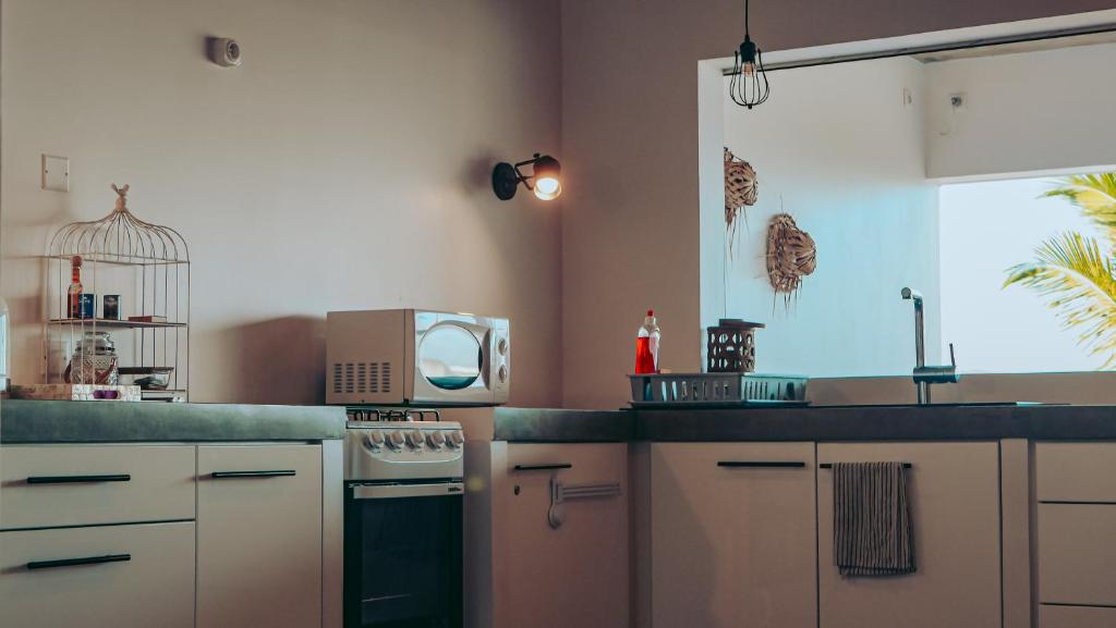 Kuchyň nebo kuchyňský kout v ubytování Pension Irivai appartement "Uparu" 1 chambre bord de mer