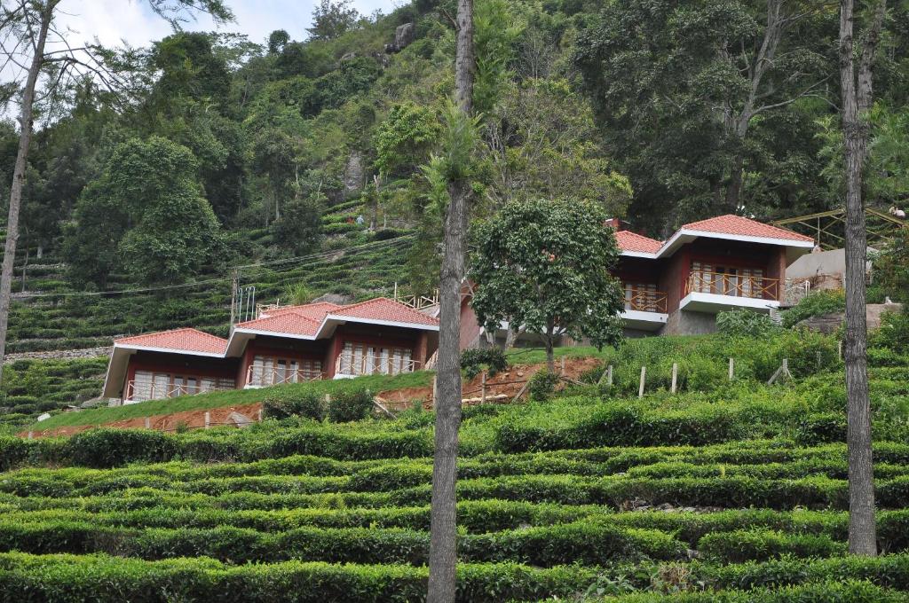 a house on a hill next to a tea plantation at Hanging Huts Resorts in Kotagiri