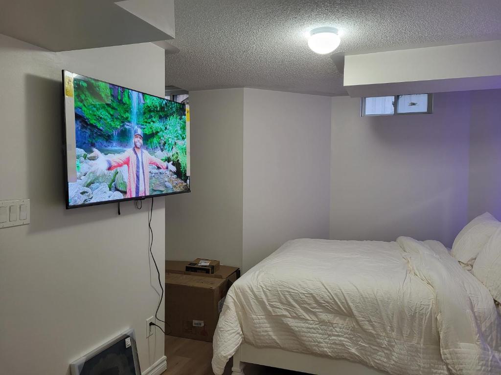 TV a/nebo společenská místnost v ubytování Cozy room basement with separate entrance