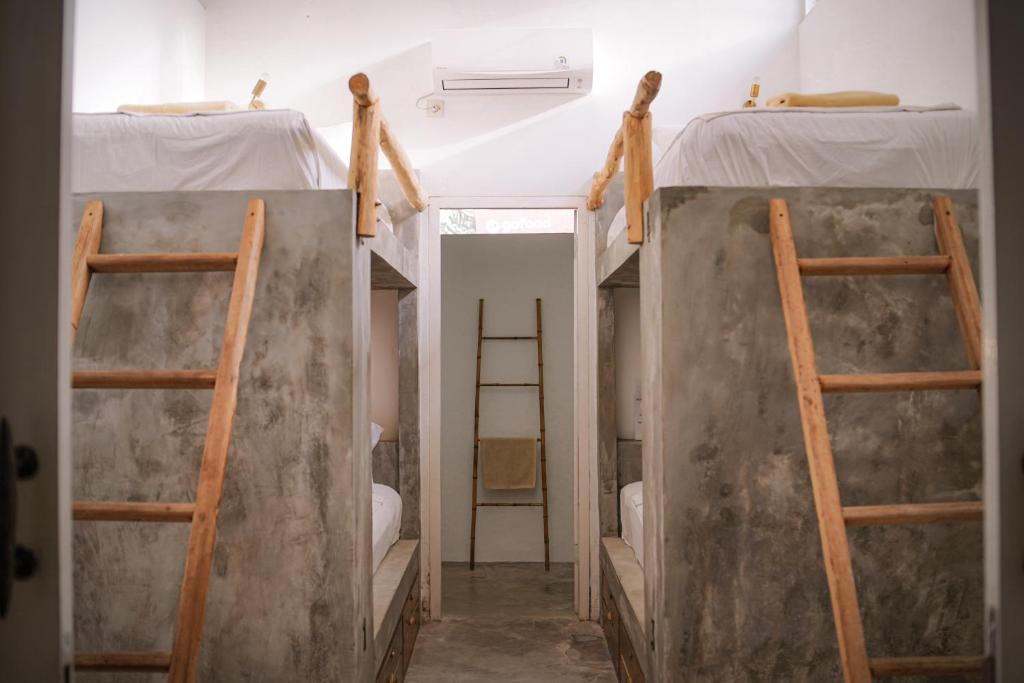 Thrive - A Liv Life Hotel - Bed In 4-Bed Mixed Dormitory Room