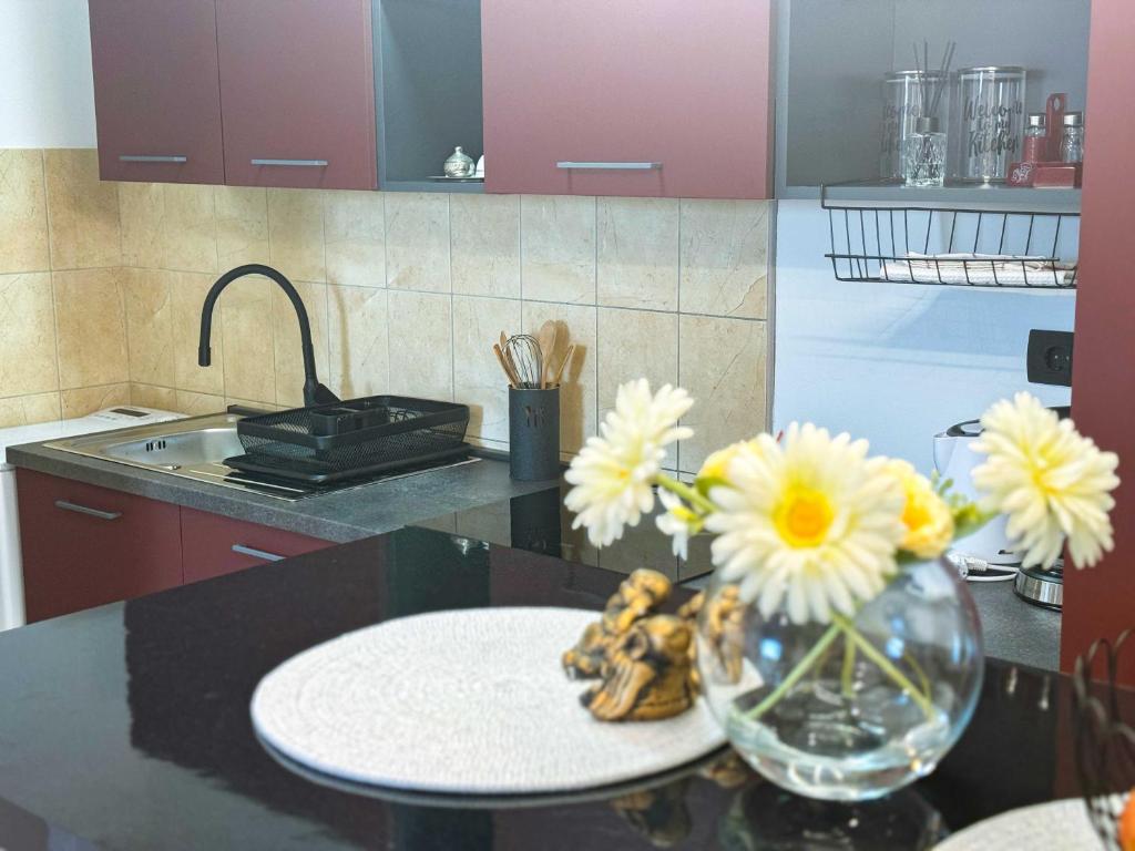 Kuchyňa alebo kuchynka v ubytovaní Studio Apartment Mandic