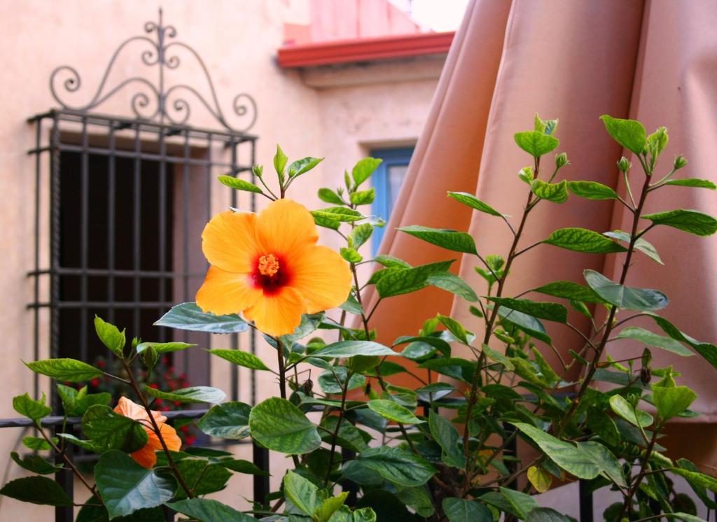 A garden outside Hotel Conde de Cárdenas