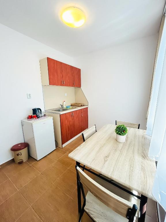 Kuchyň nebo kuchyňský kout v ubytování Family Hotel Helios