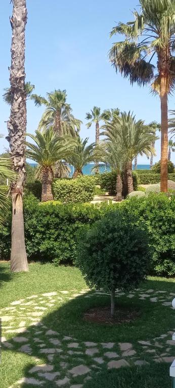 Vonkajšia záhrada v ubytovaní Beach view - primera linea lujo