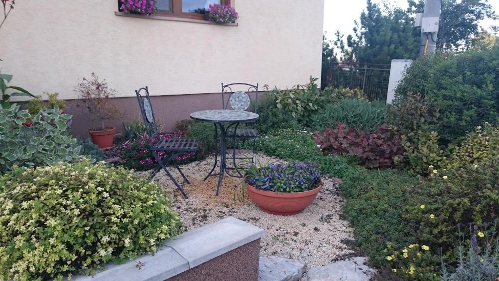 Zahrada ubytování Rekreačný dom SISI