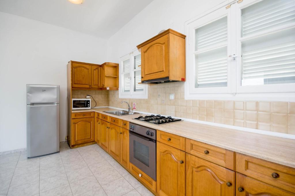 Kuchyň nebo kuchyňský kout v ubytování Villa Baronnos