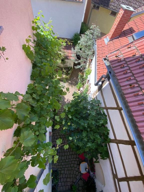 Zahrada ubytování Neles Nest