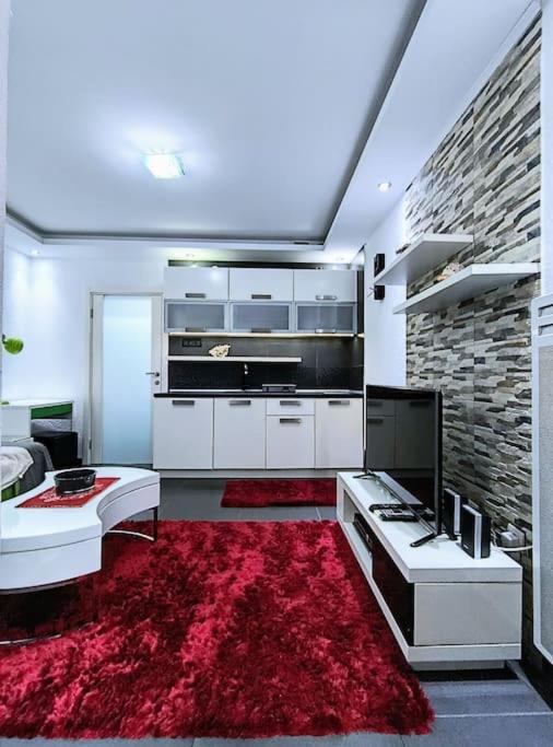 Η κουζίνα ή μικρή κουζίνα στο Jednosoban apartman u centru Bara