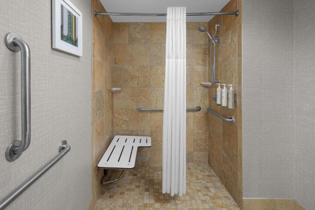 Hampton Inn Cleveland-Downtown - 