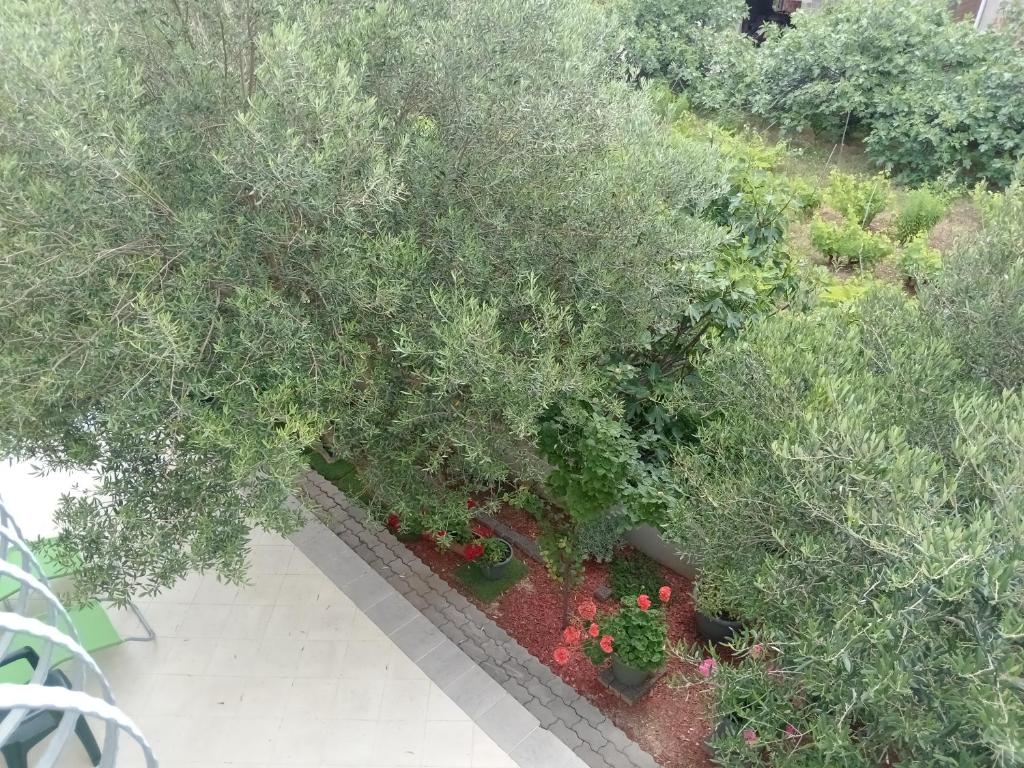an overhead view of a garden with trees and flowers at Ana Rooms in Krk