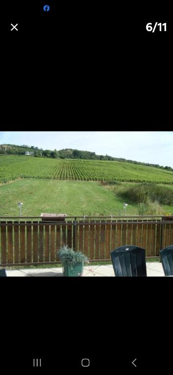 une vue d'un champ avec deux chaises et une clôture dans l'établissement Maison au milieu des vignes, à Moroges
