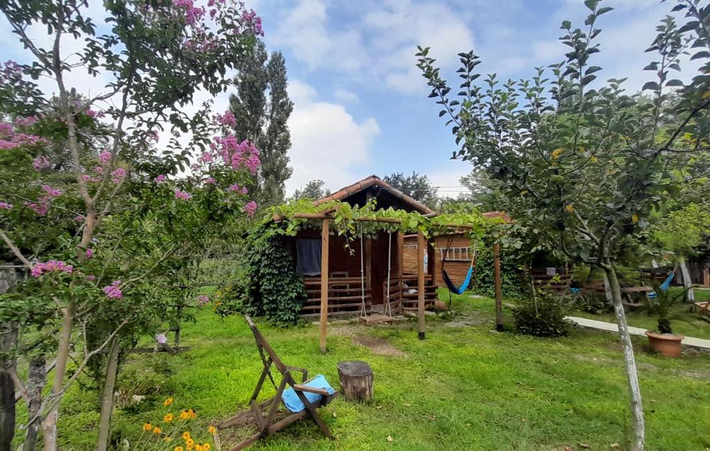 Cabaña de madera en un jardín con árboles en Tiny houses Genacvale en Martvili