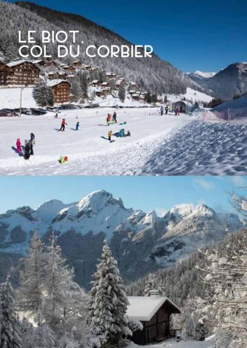 Appartement Portes du Soleil à Le Biot avec ménage et WIFI inclus v zimě