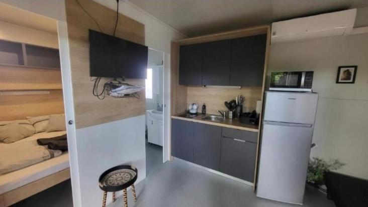 Kuchyň nebo kuchyňský kout v ubytování BIG BERRY KOLPA - KIWI mobile house, Metlika