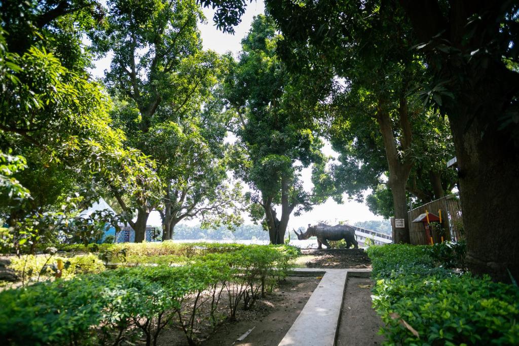 朱巴AFEX Rivercamp的一头大象在公园里沿着树木繁茂的小路行走