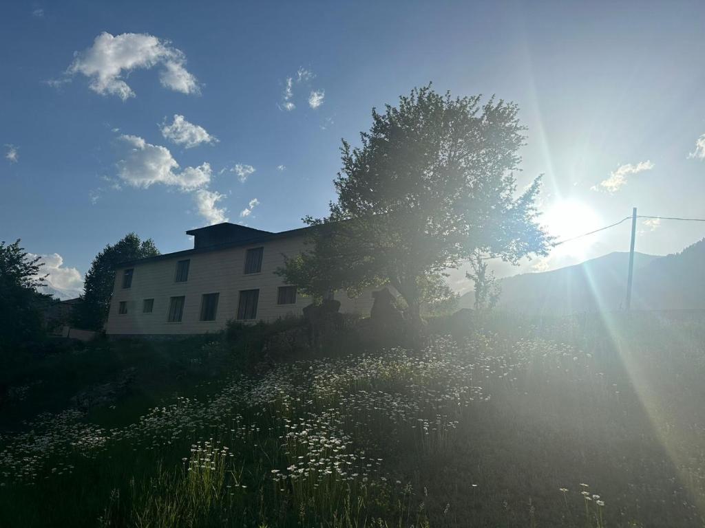 Příroda nedaleko hotelu