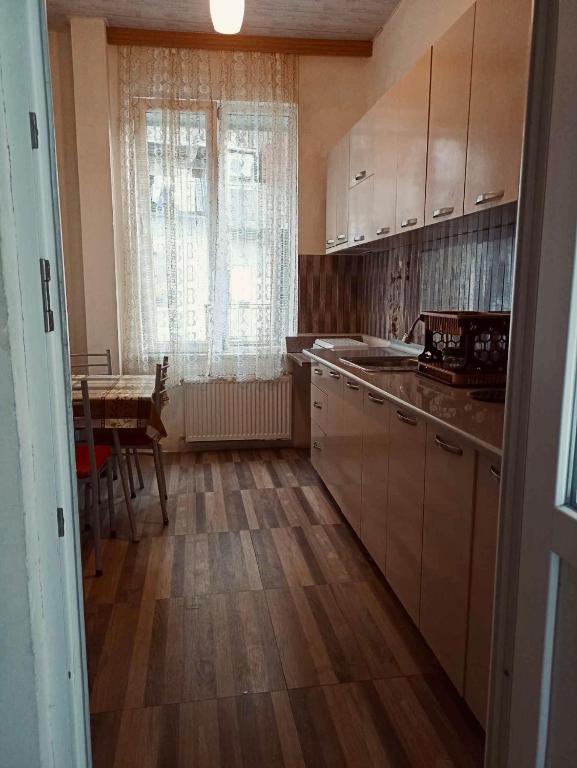 Kuchyň nebo kuchyňský kout v ubytování Anna's Guesthouse