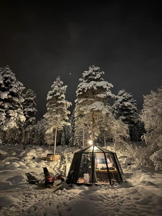 Aurora Igloo with Private Hot Tub by Invisible Forest Lodge v zimě