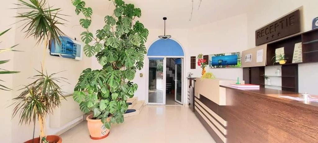 a room with two potted plants in a pharmacy at Villa Grande in Iaşi