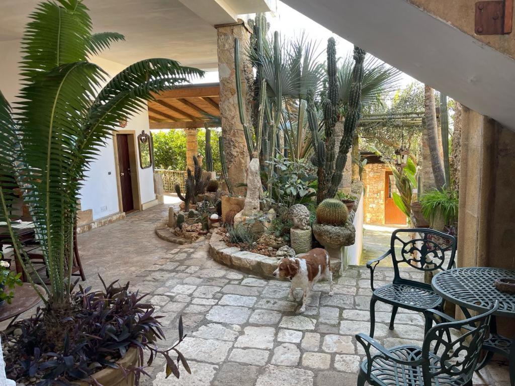 Zahrada ubytování Felline In Bed&Breakfast Dimora di Charme el Salento