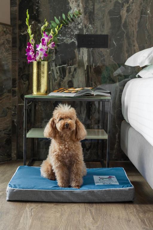 Hotel Michelangelo - Resim 14