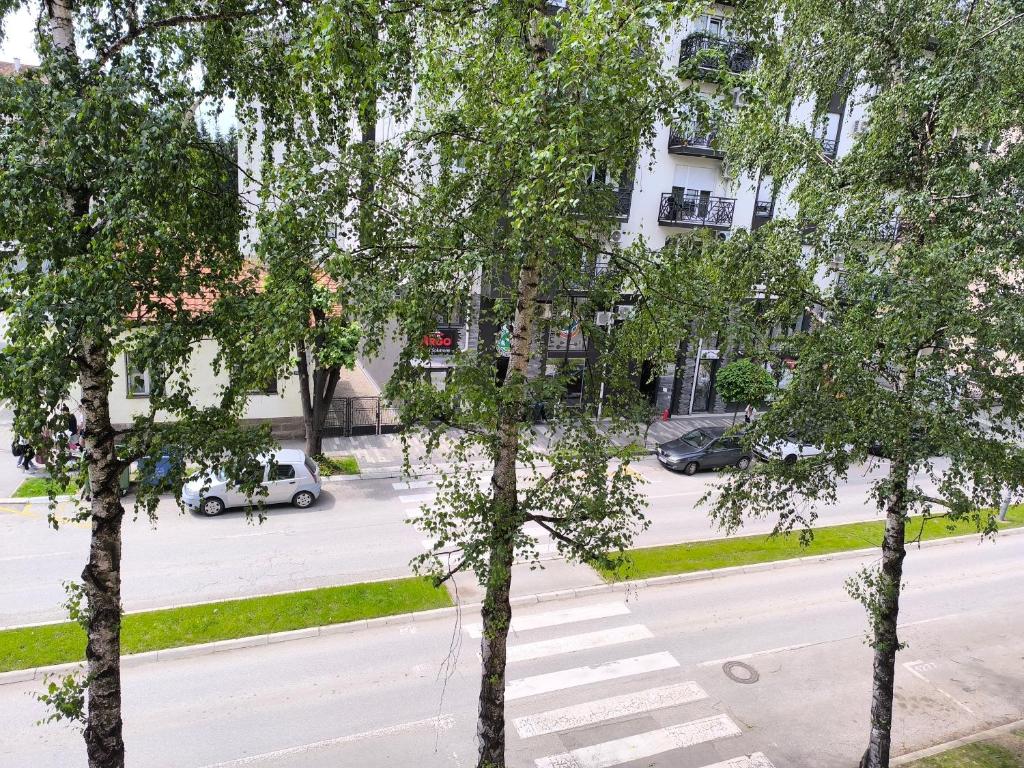 Okolí apartmánu