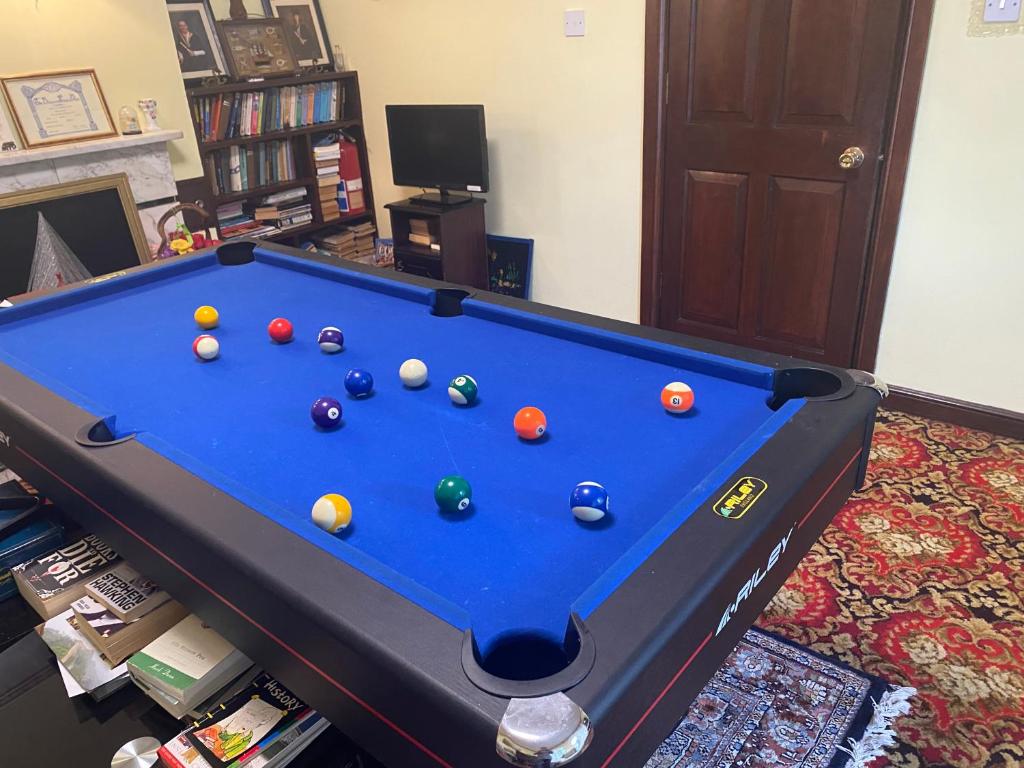 Biliár nebo kulečník v ubytování Palm Grove B&B