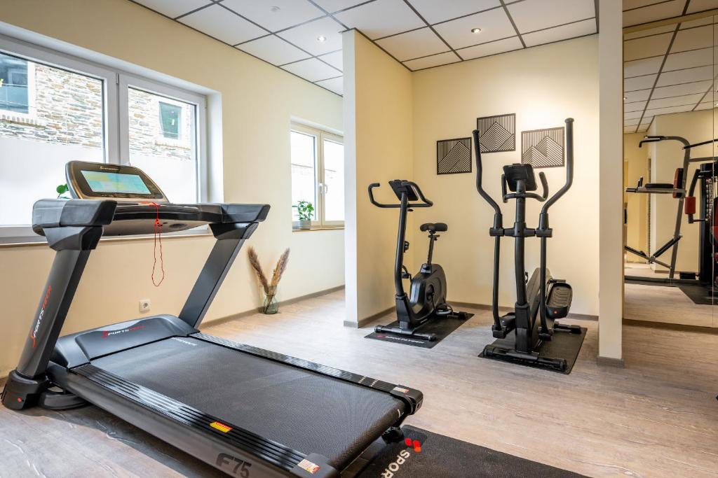 Fitness centrum a/nebo fitness zařízení v ubytování Apart Hotel Lang