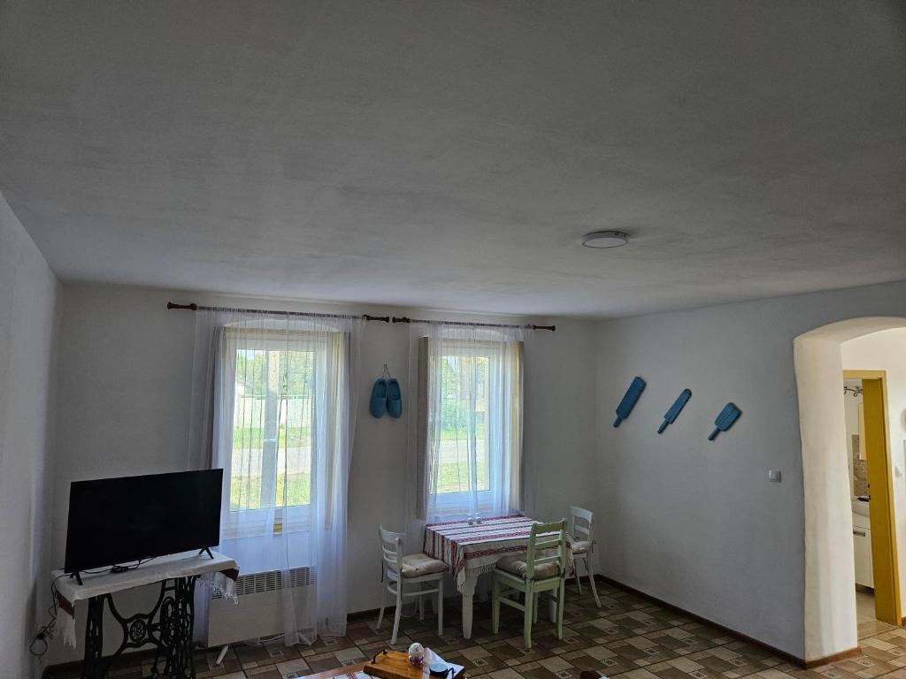 TV a/nebo společenská místnost v ubytování Apartmany Detvanka