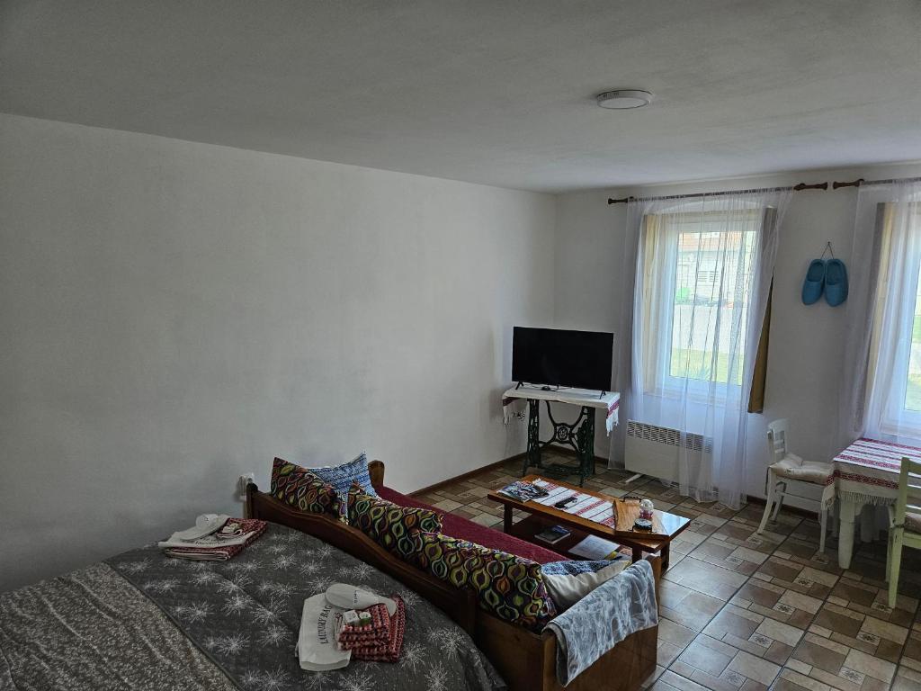 TV a/nebo společenská místnost v ubytování Apartmany Detvanka