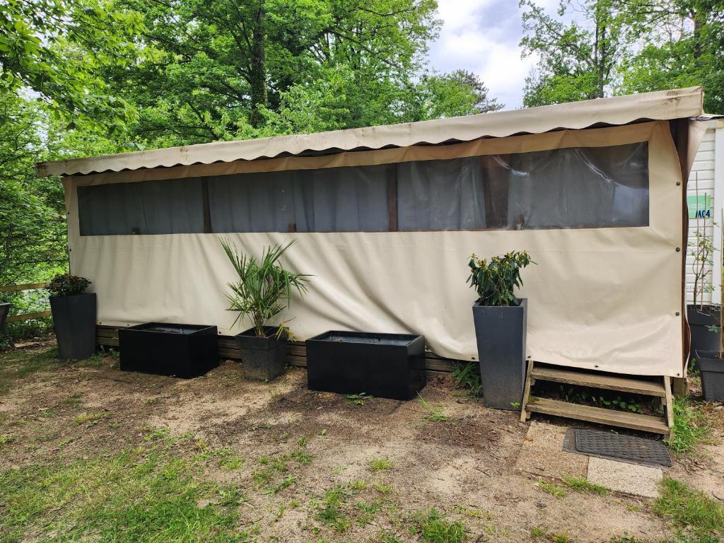 une tente avec des plantes en pot devant dans l'établissement Le paradis du mobilhome, à Saint-Chéron