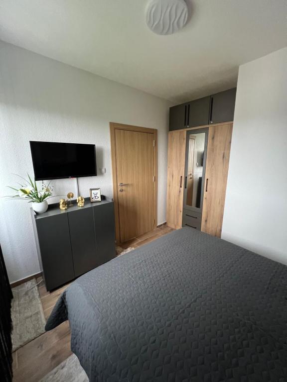 Kuhinja ili čajna kuhinja u objektu Apartman Tina