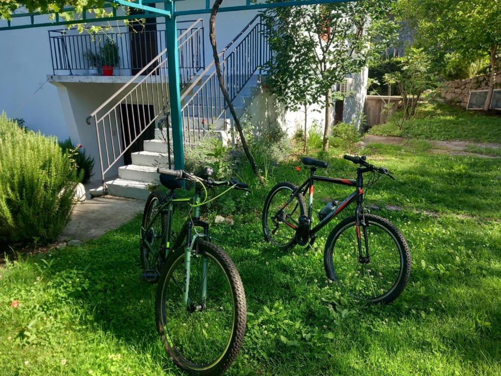 Attività di ciclismo presso l'agriturismo o nelle vicinanze
